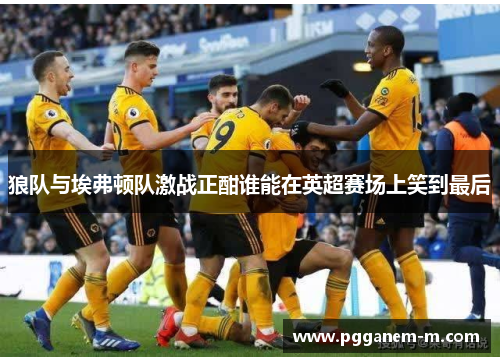 狼队与埃弗顿队激战正酣谁能在英超赛场上笑到最后